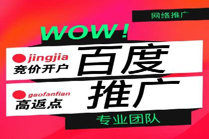 SEM网络推广案例：如何实现精准营销