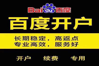百度竞价代运营助力企业实现业绩飞跃